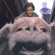 Illustration for article titled The Neverending Story: 20 Years Later